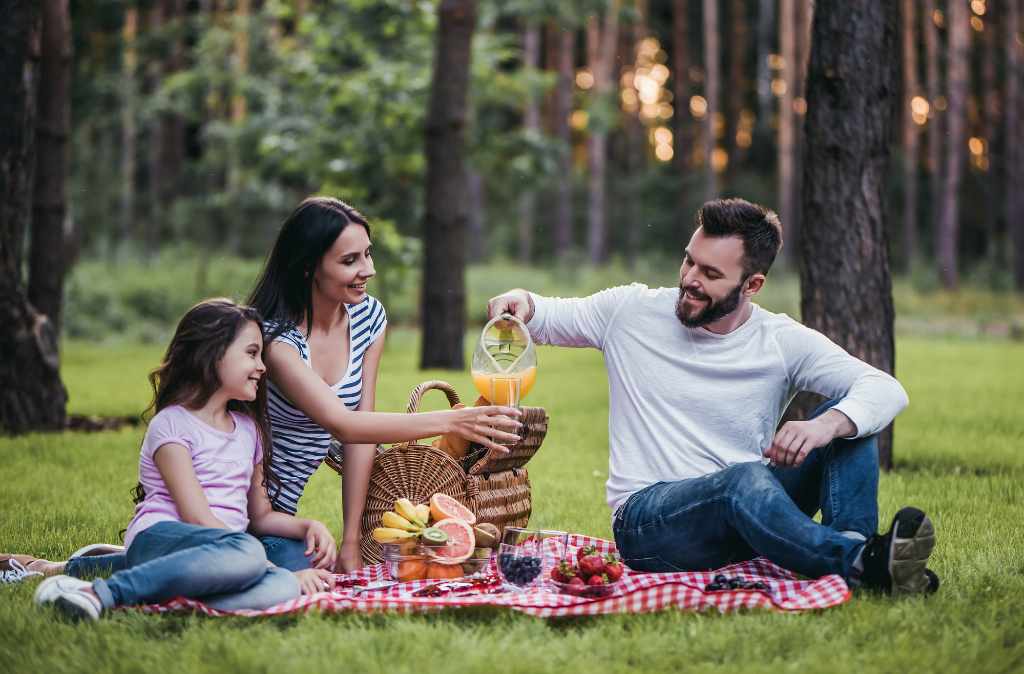 family picnicking alone in woods