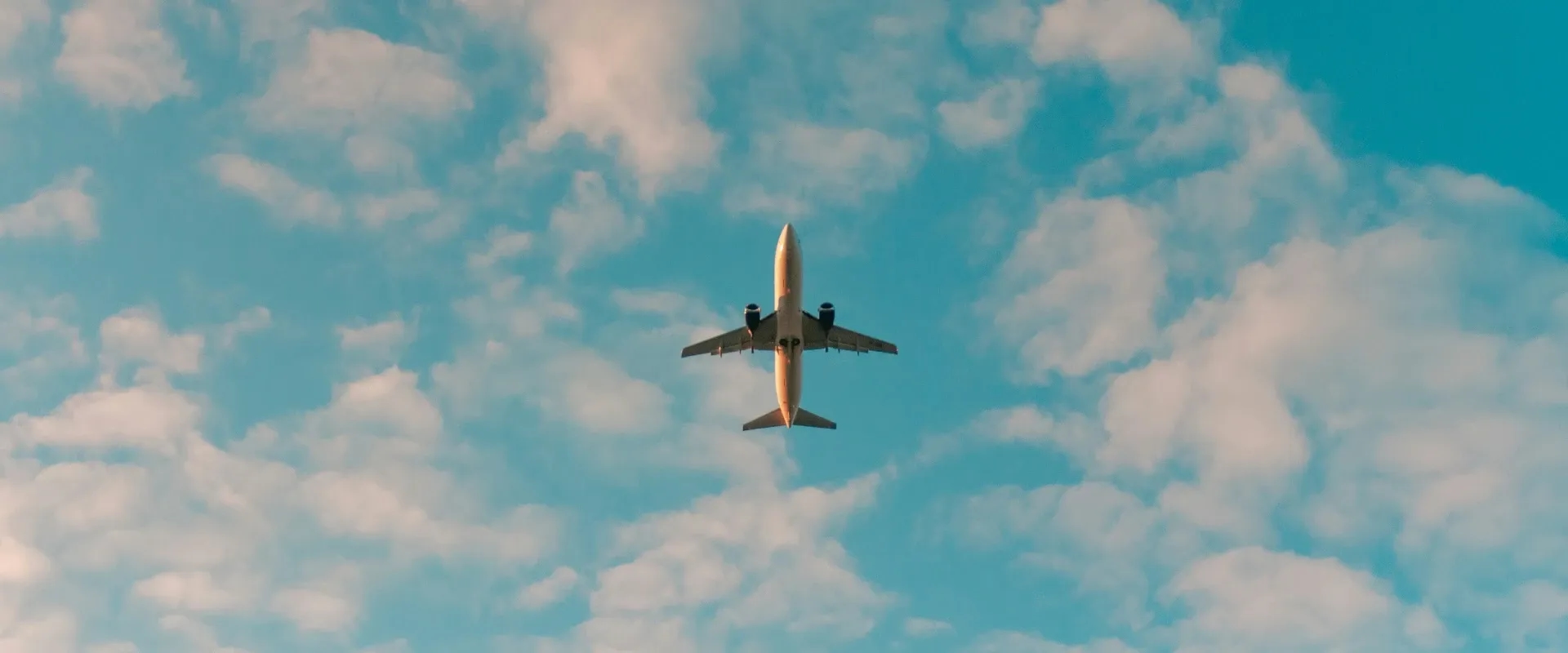 A plane flies overhead